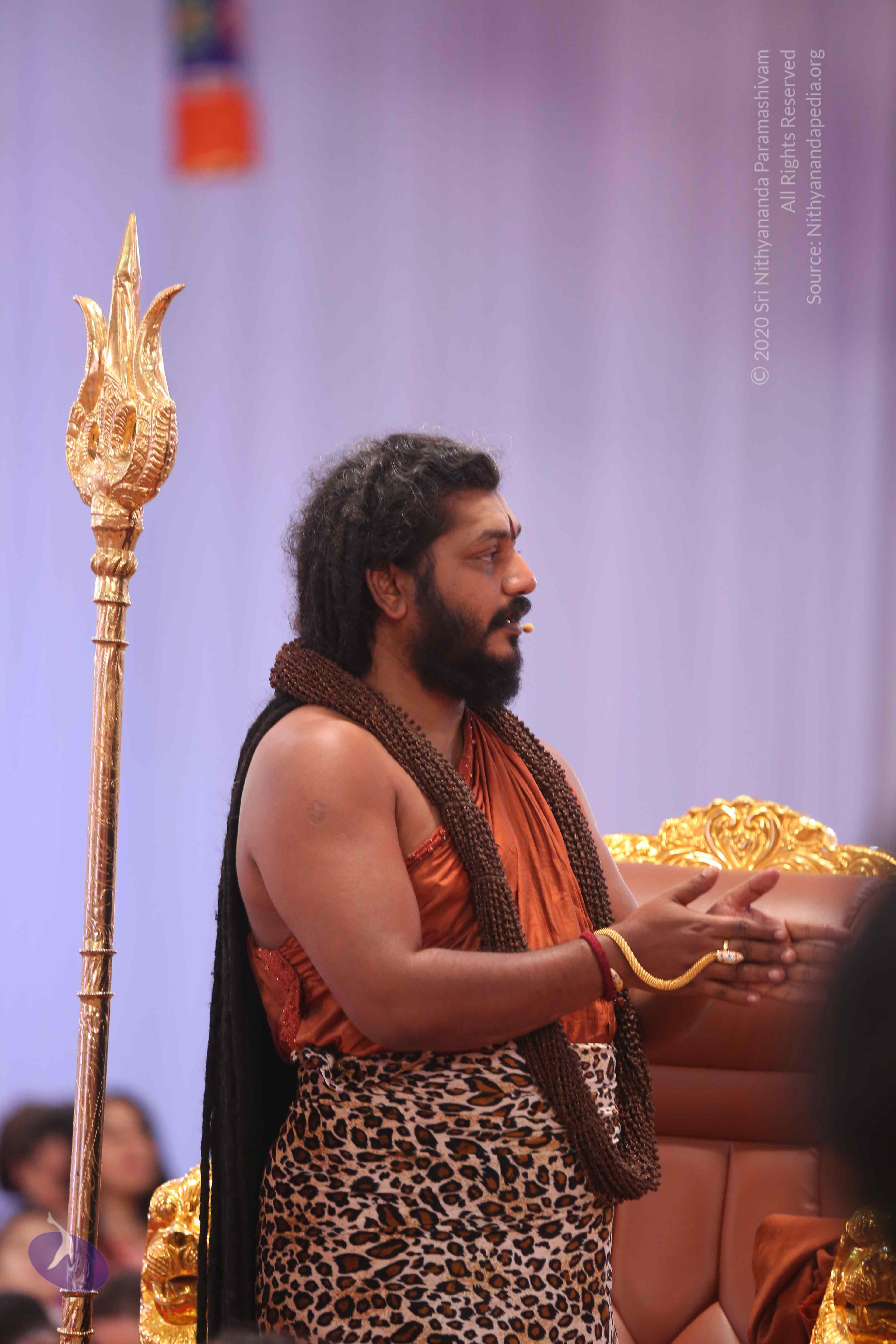 20161204_Photo_1124_IMGL5674_CMP_WM